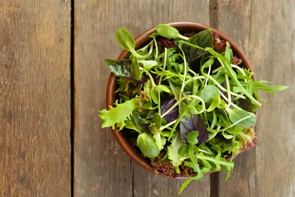 Salada verde mista fresca em tigela na mesa de madeira close-up — Fotografia de Stock