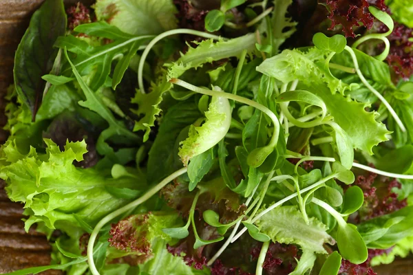 Prato de salada verde mista fresca close up — Fotografia de Stock