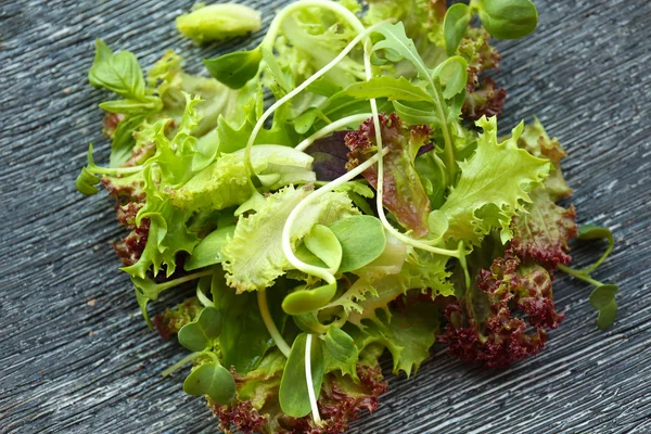 Ensalada verde mixta fresca en el plato de cerca —  Fotos de Stock