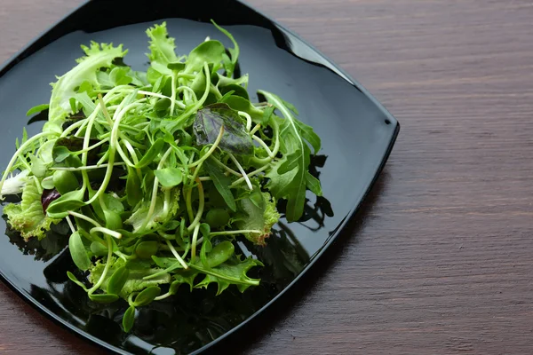 Ahşap masa üzerinde taze karışık yeşil salata tabak kapat — Stok fotoğraf