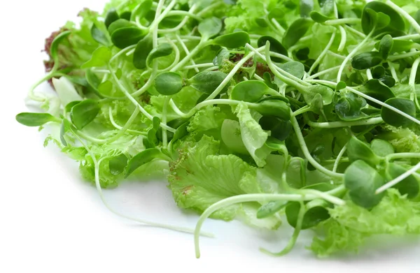 Salada verde mista fresca close up — Fotografia de Stock