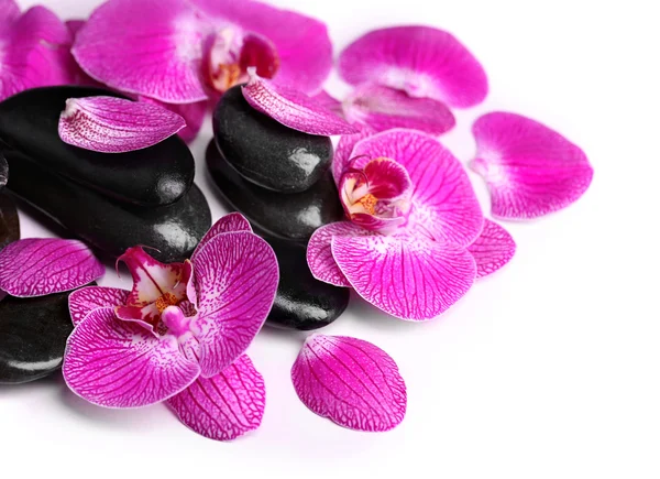 Violet orchid and zen stones — Stock Photo, Image