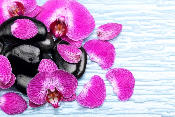 Lila orchidea és a zen kő — Stock Fotó