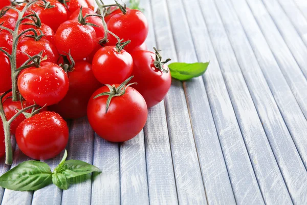 Fresh tomatoes with basil — Stock Photo, Image