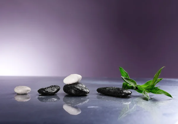 Piedras de spa con hojas verdes —  Fotos de Stock