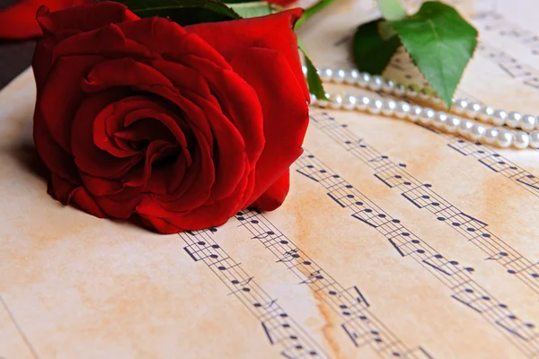 Beautiful rose with pearls on music sheets, closeup — Stock Photo, Image