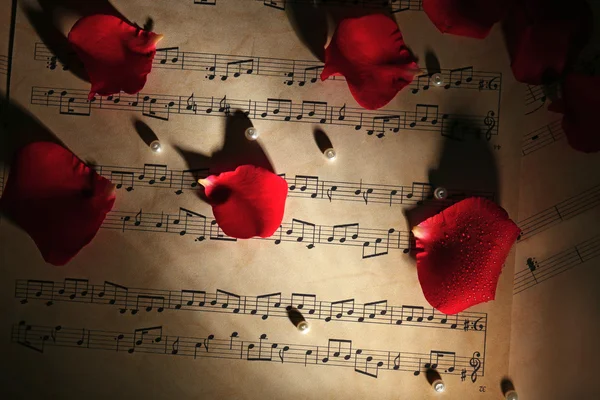 Beautiful rose petals with pearls in dark on music sheets, closeup — Stock Photo, Image