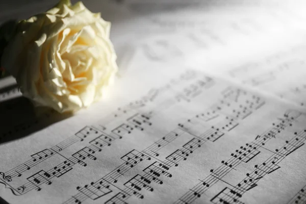 A zene gyönyörű Rózsa lapok háttér — Stock Fotó