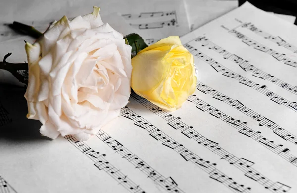 Rosas en hojas de música — Foto de Stock