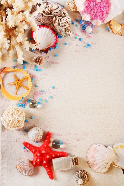 Collection of seashells on textured background — Stock Photo, Image