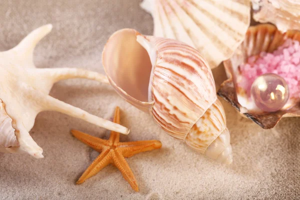 Collection of seashells with sand on sackcloth, closeup — Stock Photo, Image