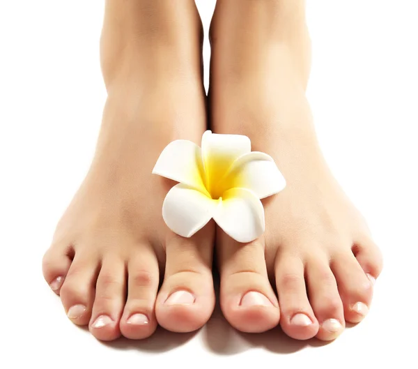 Female feet at spa pedicure procedure with plumeria isolated on white — Stock Photo, Image
