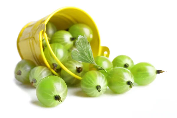 Green gooseberry in pail isolated on white — Stock Photo, Image