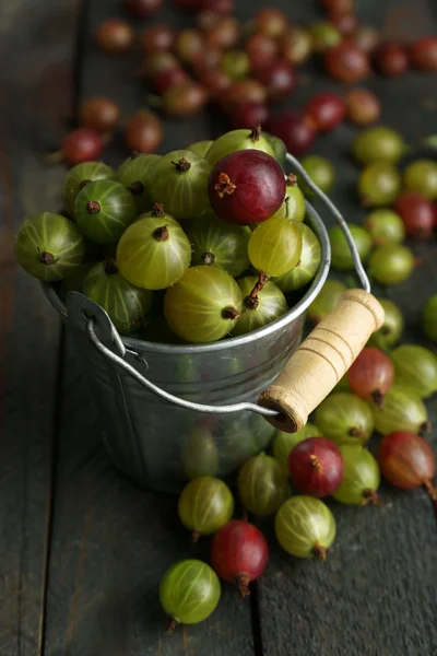 빨간색과 녹색 구 즈 베리 나무 테이블 클로즈업에 양동이에 — 스톡 사진