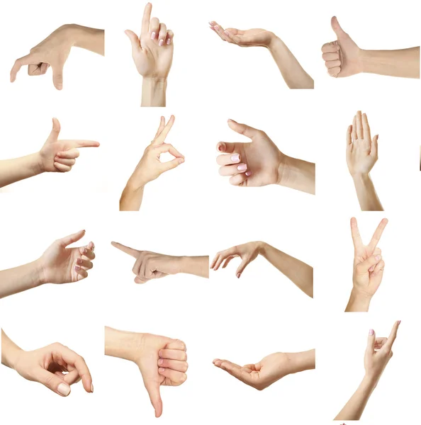 Collage of  hands showing different gestures, isolated on white — Stock Photo, Image