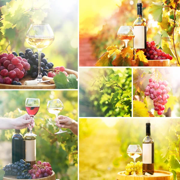 Коллаж из вина и виноградника — стоковое фото