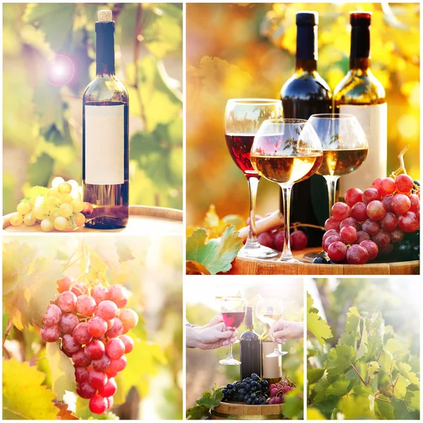 Collage vino e vigneto — Foto Stock