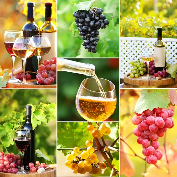 Şarap ve üzüm bağı kolaj — Stok fotoğraf