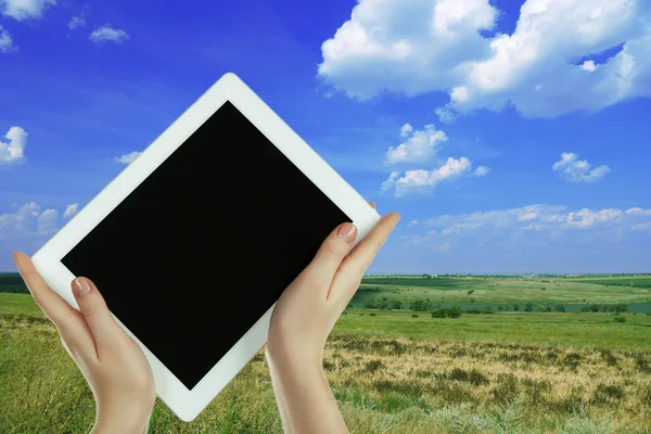 Manos sosteniendo la tableta PC en el fondo del prado — Foto de Stock