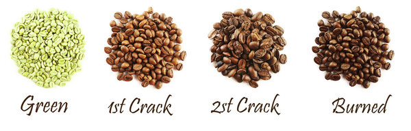 Different coffee beans isolated on white