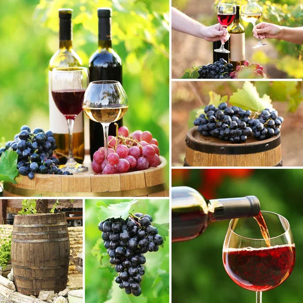 Collage vino e vigneto — Foto Stock