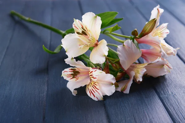 Beautiful alstroemeria on wooden background — Stock Photo, Image