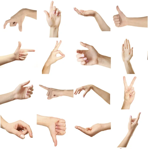 Kolaż z rąk Wyświetlono różnych gestów, na białym tle Obraz Stockowy