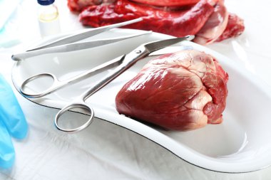 Tablo Araçları ile tıbbi metal tepsi kalp organ yakın çekim