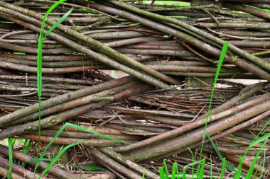 Hasır rustik çit arka plan