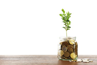 Filiz cam üzerinde beyaz izole tablo üzerinde büyüyen ile para
