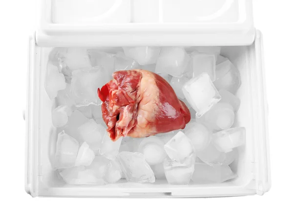 Heart organ in fridge close up — Stock Photo, Image