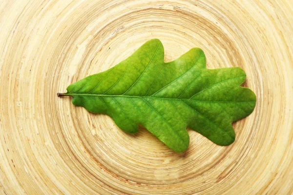Enda gröna Eklöv på trä bakgrund — Stockfoto