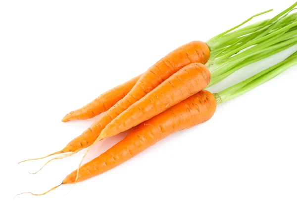 Zanahorias frescas aisladas en blanco —  Fotos de Stock