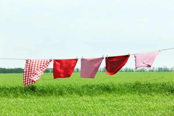 Wäscheleine mit Kleidung im Feld — Stockfoto