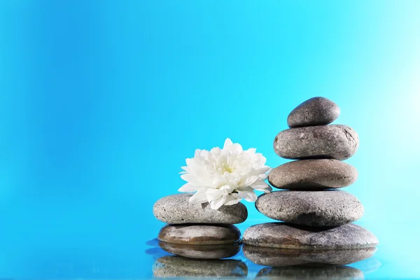 Stack of spa stones with flower  on blue background — Stock Photo, Image