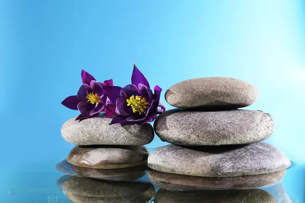 Stapel stenen van de spa met bloemen op blauwe achtergrond — Stockfoto