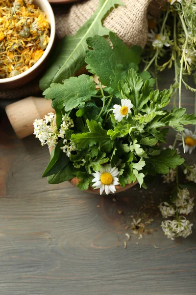 Ervas, bagas e flores com argamassa, sobre fundo de mesa de madeira — Fotografia de Stock