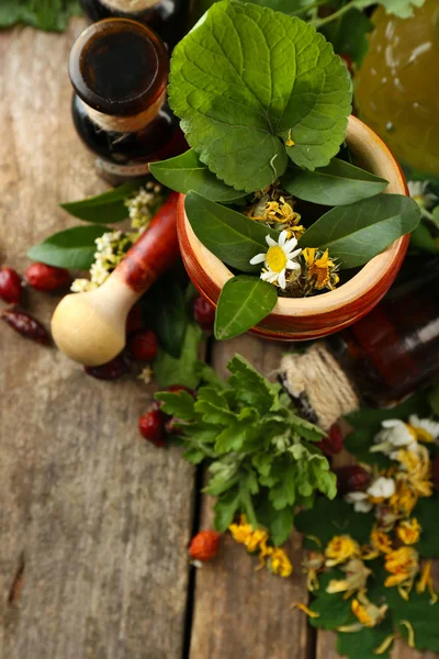 Herbes, baies et fleurs au mortier, sur fond de table en bois — Photo