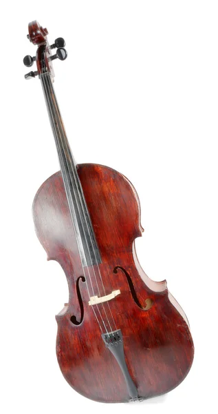 Cello isoliert ob weiß — Stockfoto