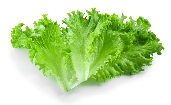 Fresh lettuce isolated on white — Stock Photo, Image