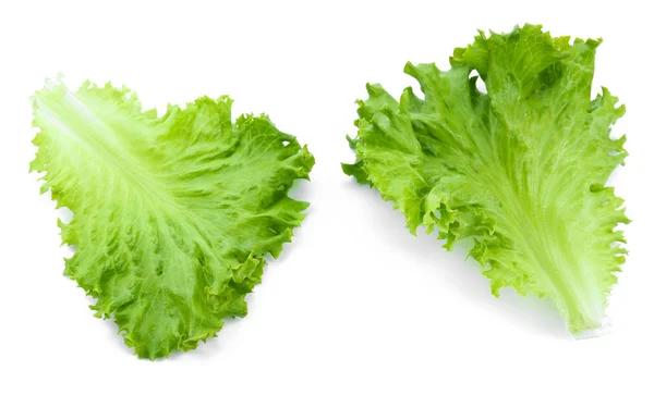 Lechuga fresca aislada en blanco — Foto de Stock