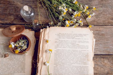 Masada harç kuru çiçeklerle eski kitap yakın çekim