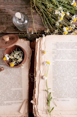 Masada harç kuru çiçeklerle eski kitap yakın çekim