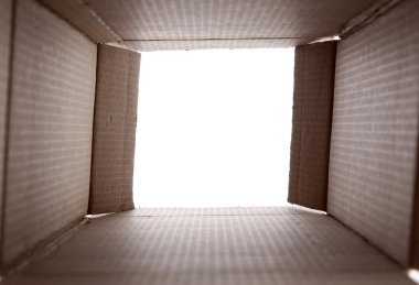 Karton kutu içinde görünüm