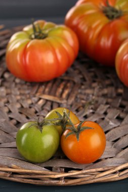Masada yeşil domates yakın çekim