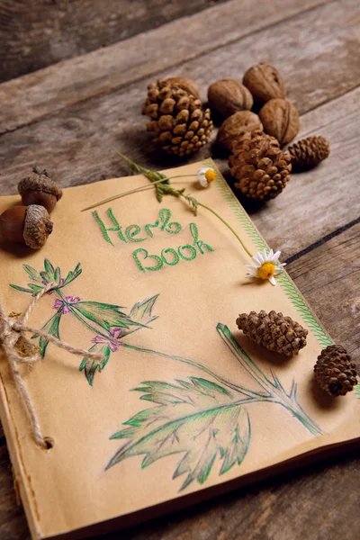 Libro viejo con conos y nueces en la mesa de cerca —  Fotos de Stock