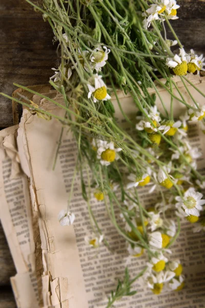 Vieux livre avec des fleurs sèches sur la table close up — Photo