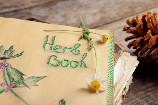 Old book with cones and dry chamomile on table close up — Stock Photo, Image