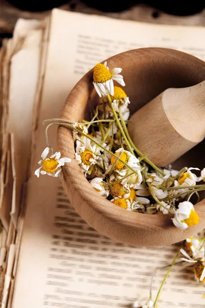 Livro velho com flores secas em argamassa perto — Fotografia de Stock