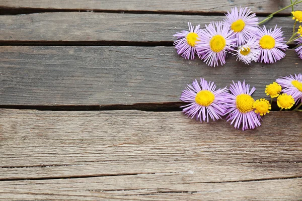 Hermosas flores silvestres pequeñas sobre fondo de madera —  Fotos de Stock